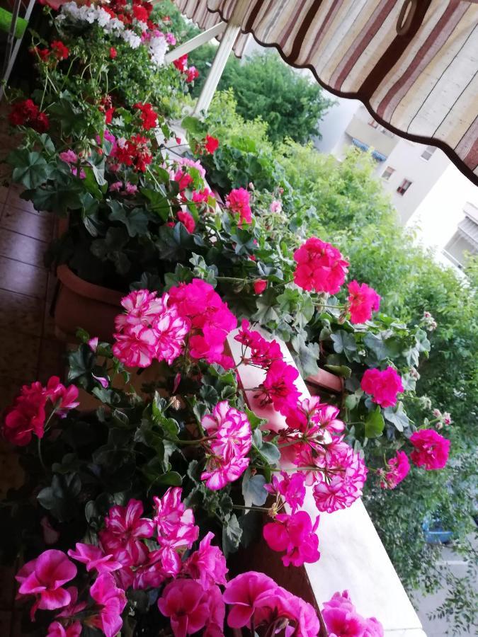 B&B Casa Mia Αλγκέρο Εξωτερικό φωτογραφία