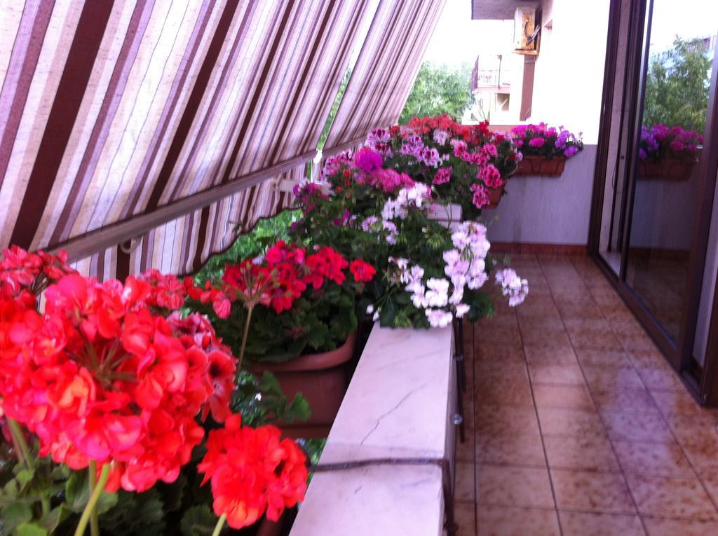 B&B Casa Mia Αλγκέρο Εξωτερικό φωτογραφία