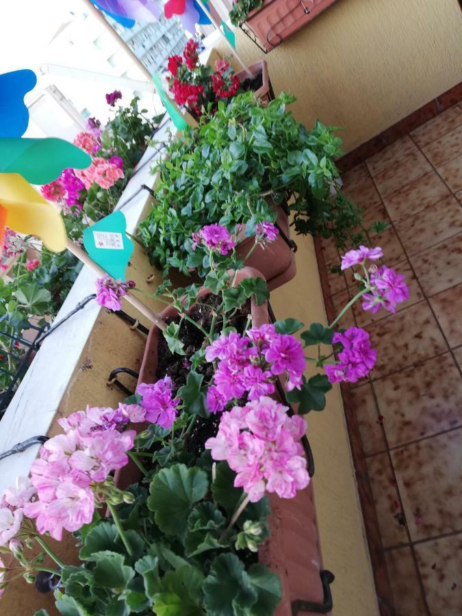 B&B Casa Mia Αλγκέρο Εξωτερικό φωτογραφία